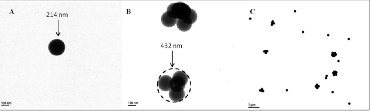 Figure 2-4: TEM micrographs of YG-PSL spheres collected on a TEM grid using the Gillings  Sampler
