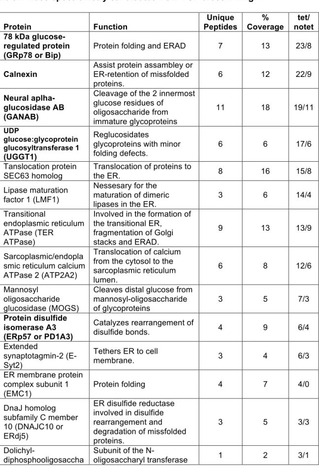Table 3.1 Mass spectrometry candidates from DSP crosslinking.  Protein  Function  Unique  Peptides  %  Coverage  tet/  notet  78 kDa  glucose-regulated protein  (GRp78 or Bip) 