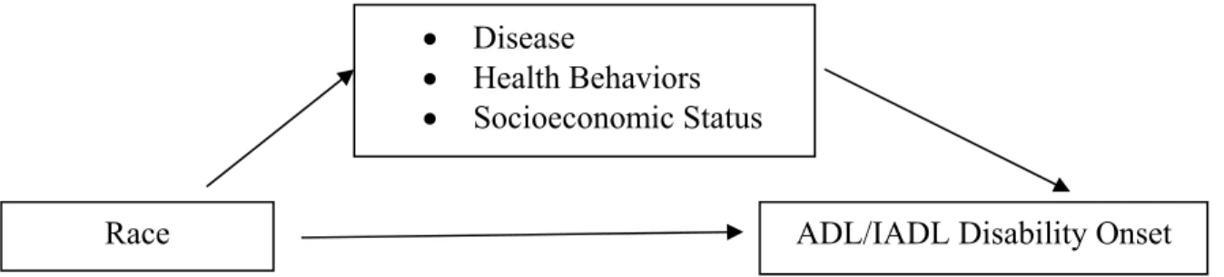 Figure 2 depicts the conceptual framework used in this study. According to this  framework, disease, health behaviors, and SES are mediators that connect race with the onset  of each ADL or IADL disability (outcome)