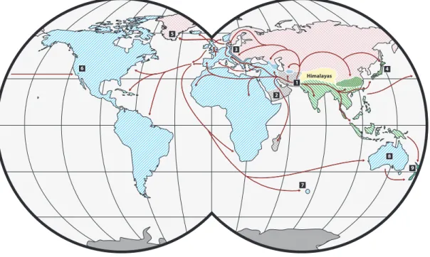 Figure 2.2: Origin and historical migrations of M. musculus subspecies. Hatching shows the ranges of M