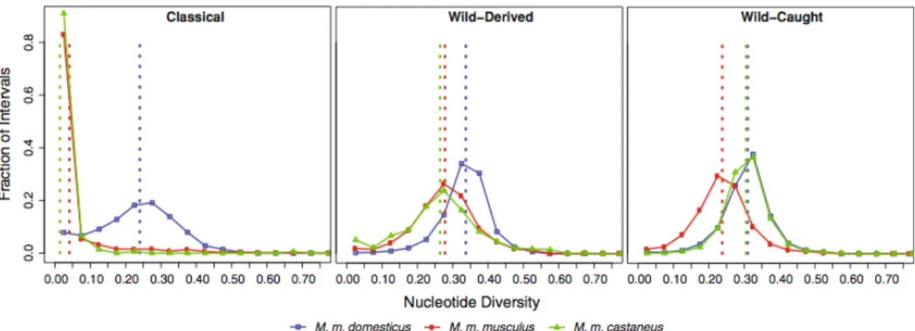 Figure 2.10: Nucleotide diversity is greater in wild mice than classical strains. We divided the genome into 16,331 intervals with no historical evidence of recombination in classical strains and measured nucleotide diversity (π) at diagnostic SNPs in each