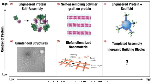Figure 1 | Present approaches to the construction and organization of discrete hybrid nano-objects under equilibrium conditions