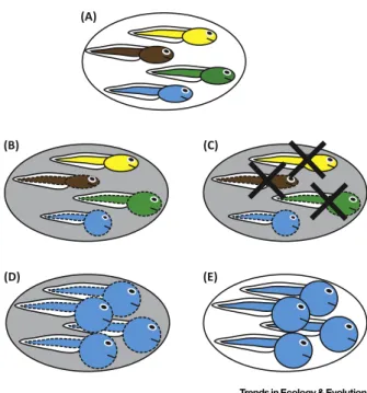 Figure 1. An Idealized Representation of How Plasticity-First Evolution Leads to a Novel, Adaptive, Complex Trait