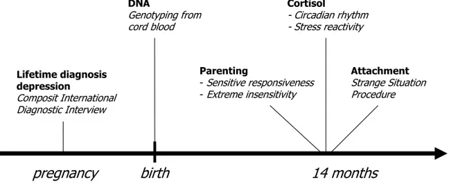 Figure 1. Assessments in Generation R used in current thesis