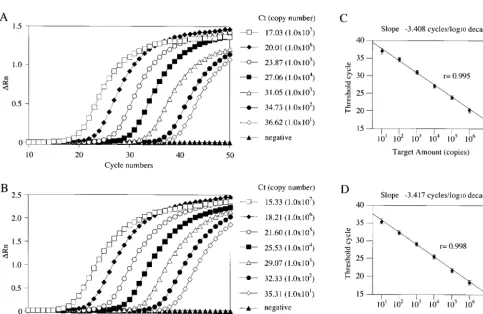 TABLE 2. Primer and probe oligonucleotides used for real-time quantitative RT-PCR