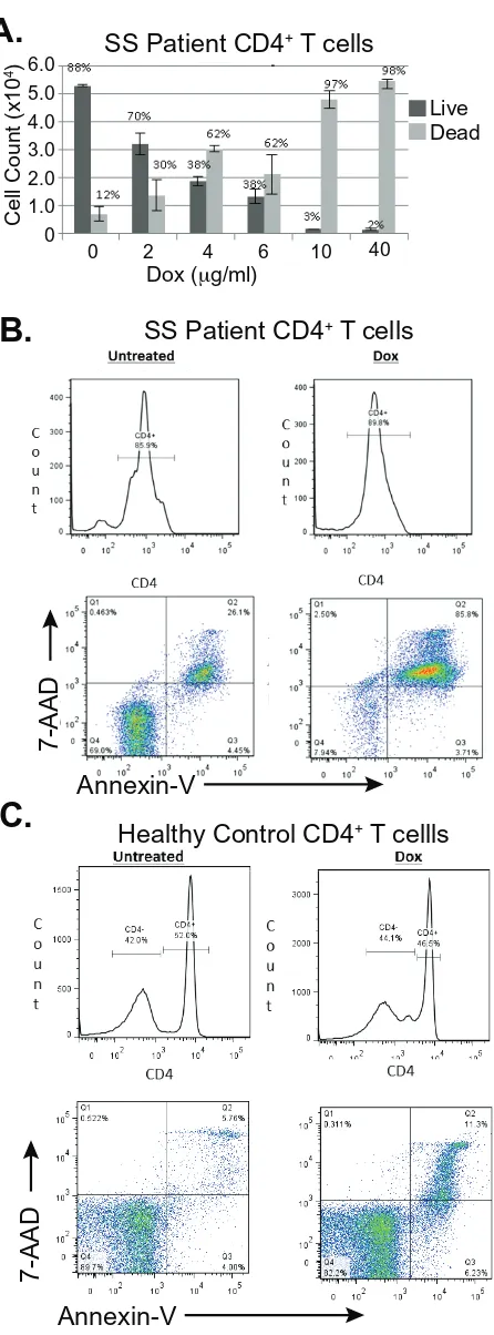Figure 7: Doxycycline induces programmed cell death in primary CD4+ T-cells from a subject with Sézary Syndrome but not in those from a healthy subject