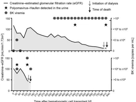 Figure 2. Polyomavirus-Haufen detection in the urine, BK-viremia, and kidney function in the  two hematopoietic cell transplant recipients who underwent autopsy