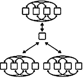 Figure 2.8  Hybrid Model with a Combination of both Centralized Hierarchy and  Heterarchy