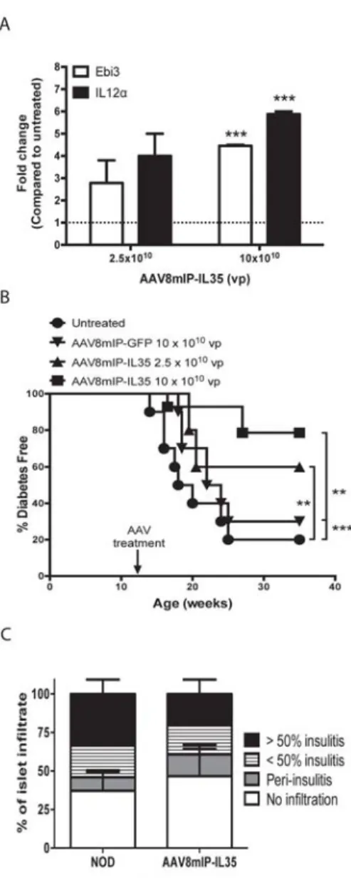 Figure 2.1: β β cell-specific expression of IL-35 at a late preclinical stage prevents the  onset of diabetes