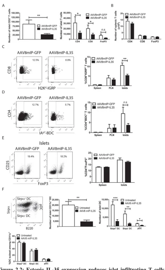 Figure 2.2: Ectopic IL-35 expression reduces islet infiltrating T cells and DC.  (A-E)  Groups of 3-4 12 wk-old NOD female mice were treated with 10x10 10  vp of  AAV8mIP-IL35, AAV8mIP-GFP, or left untreated, and 4 wks later islets, spleen and/or PLN exami