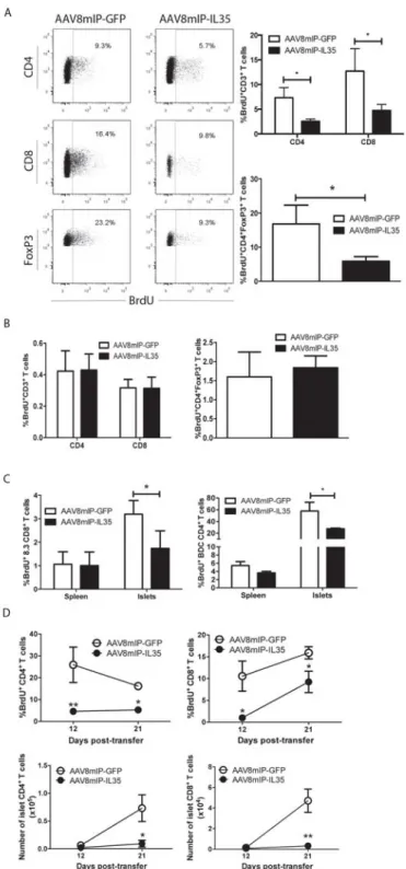 Figure 2.3: β β cell-specific IL-35 reduces proliferation of islet resident conventional T  cells and Foxp3 + Treg