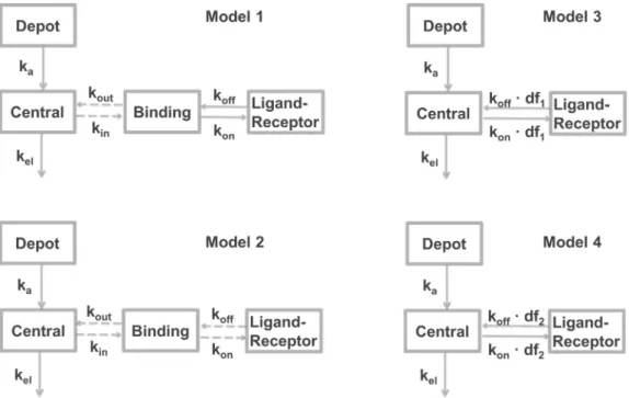 Fig. 1. Schematic representation of all model structures that are used for simulations