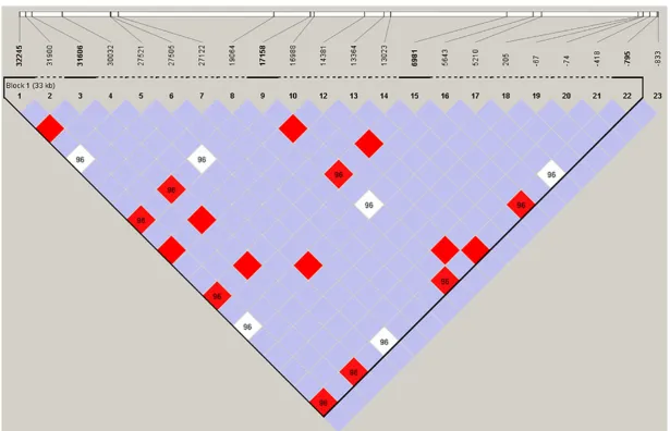 Figure 1. Linkage disequilibrium analysis of CYP3A5 in Tibetans. LD is displayed by standard color schemes with bright red for very strong LD (LOD42, D0 ¼ 1), pink red (LOD42, D051), blue (LOD52, D0 ¼ 1) for intermediate LD and white (LOD52, D051) for no LD.