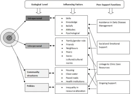 Figure 1 shows how the four key functions of peer support target problems at multiple levels of  influencing of the socio-ecological framework