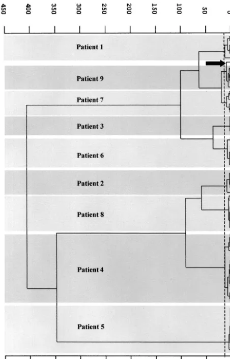 FIG. 3. Dendrogram showing the hierarchical clustering obtainedfrom the means of the second-derivative spectra of the 79 isolates from