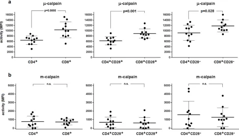 Figure 2: Relative activities of µ- and m-calpain differ between CD4+ and CD8+ lymphocytes and their CD28+ and CD28- subpopulations