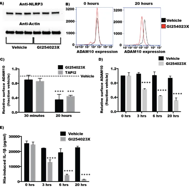 Figure 5. (A) Cells were treated with either vehicle (DMSO) or GI254023X for 20 h and cell lysates were analyzed by immunoblot for NLRP3 and Actin (loading control) as indicated