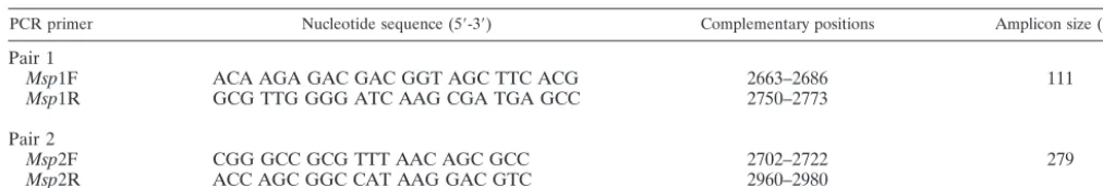 TABLE 1. PCR primer pairs selected from recombinant M protein