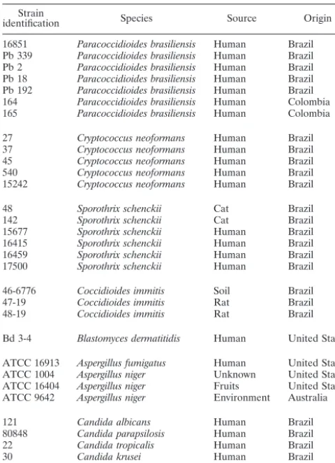 TABLE 3. Fungal species used to evaluate PCR speciﬁcity