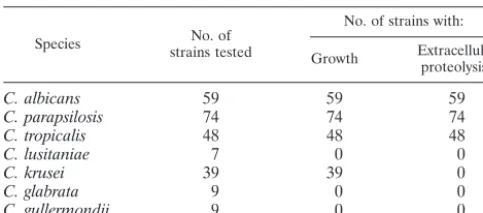 TABLE 1. Growth and extracellular proteolytic activities of clinicalyeast isolates determined on hemoglobin-containing medium