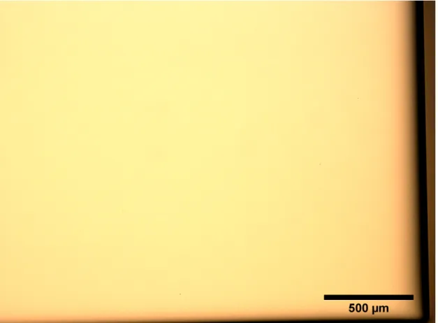 Figure 3.1: Optical microscope image with the contrast increased of a STO substrate after HF etching and cleaning