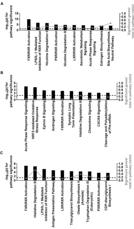 FIG. 5. Ingenuity pathway enrichment analysis of liver gene expression identifies general mechanisms associated with the tolvaptan-induced liver response