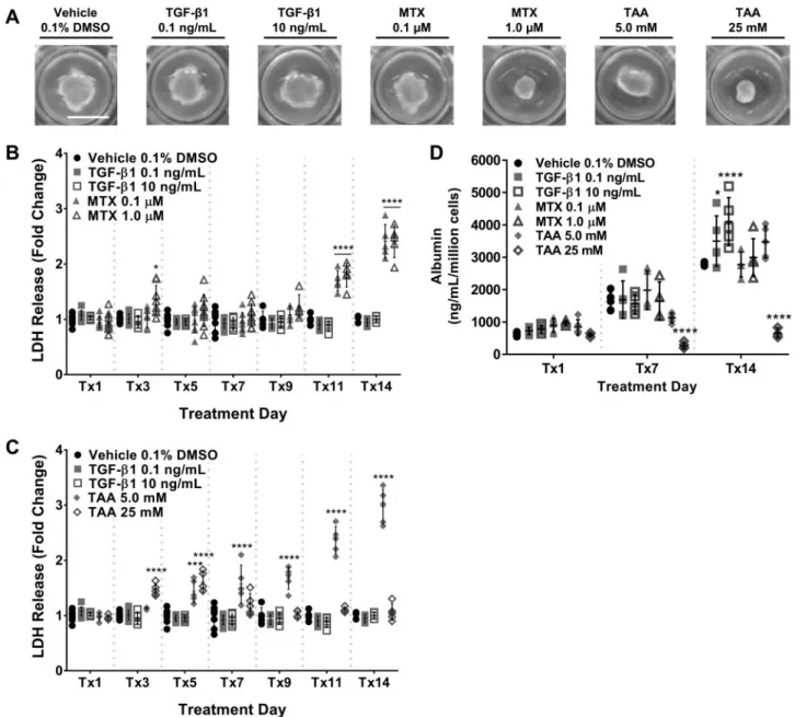 FIG. 3. Impact of fibrotic agents on biochemical markers of liver tissue viability and functionality