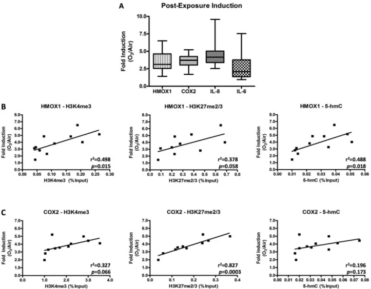 FIG. 4. Summary of correlations between specific chromatin modifications and expression of O 3 -responsive genes