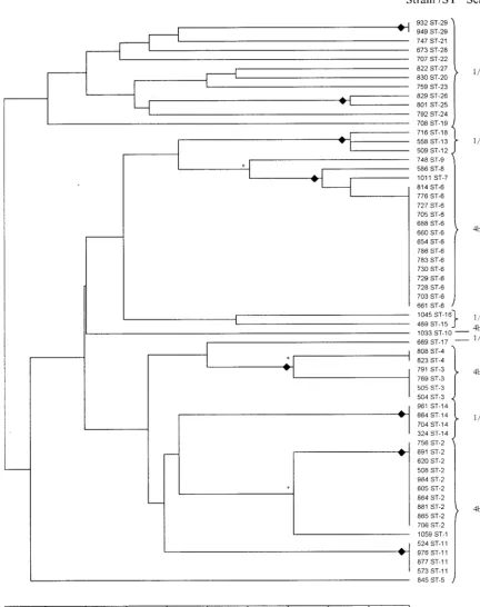 FIG. 1. Dendrogram showing cluster analysis (unweighted pair group cluster method with arithmetic mean) of the 62 L