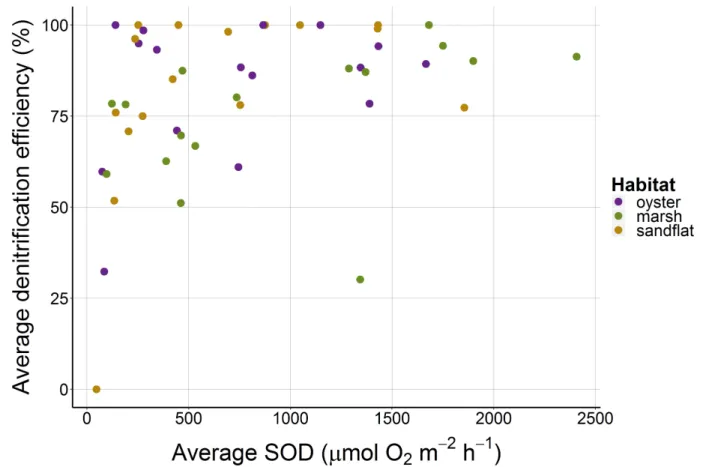 Figure 7.  DNE generally increased with increasing sediment oxygen demand (SOD) (µmol O 2
