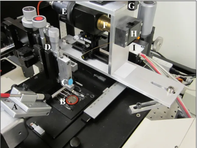 Figure 2.2: The CE portion of the CE-LIF instrument.  (A) Microinjector connection; (B) cell  chamber and ECB buffer flow inlet and outlet; (C) capillary holder and ground electrode; (D)  x, y, and z translation knobs for capillary positioning; (E) collect