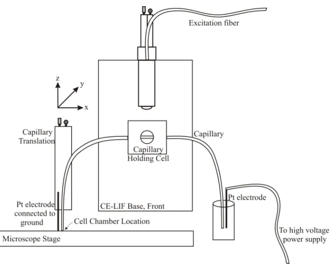 Figure 2.5: Schematic of the capillary electrophoresis portion of the CE-LIF system. 