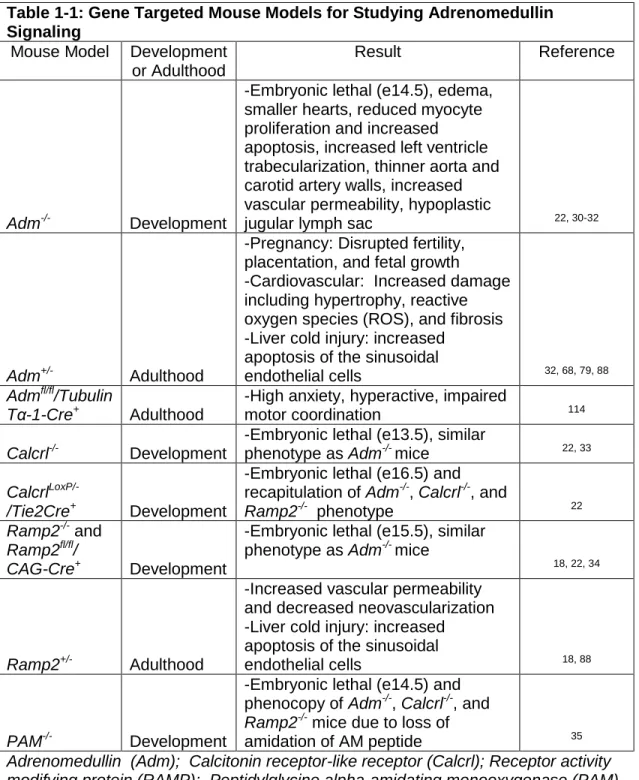 Table 1-1: Gene Targeted Mouse Models for Studying Adrenomedullin  Signaling  