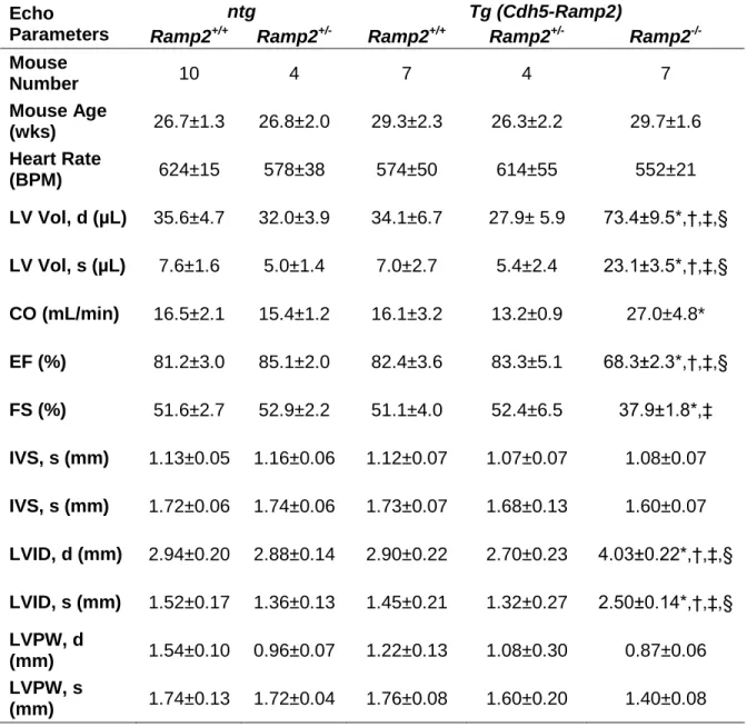 Table  2-2:    Ramp2 -/-   Tg  adults  develop  left  ventricle  dilatation  and  declining  heart  function