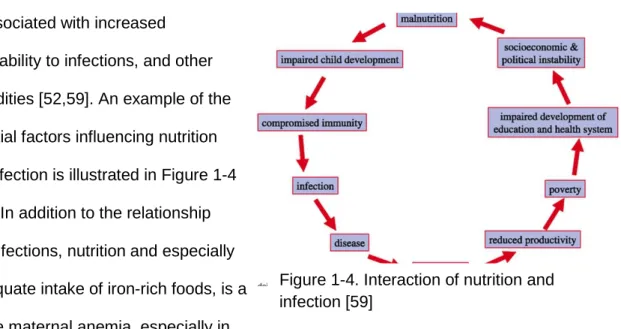 Figure 1-4. Interaction of nutrition and  infection [59] 