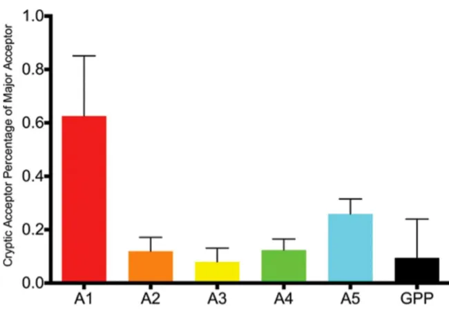 Figure 2.7. Cryptic Acceptor Usage as a Percentage of Major Acceptor Usage in  Transmitted/Founder Viruses and NL4-3
