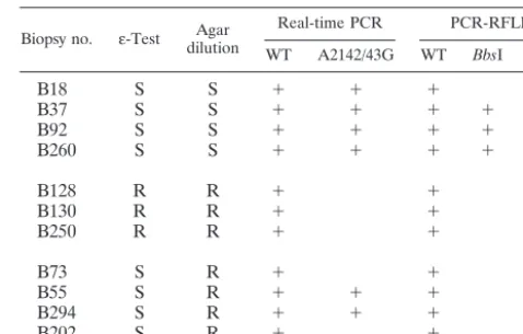 TABLE 2. Results of the PCR-RFLP analysis on 30 biopsies with asingle genotype (10 wild type, 19 with the A2142/43G mutation, and1 with the A2143C mutation) and on all 42 samples with more thanone genotype detected by real-time PCR