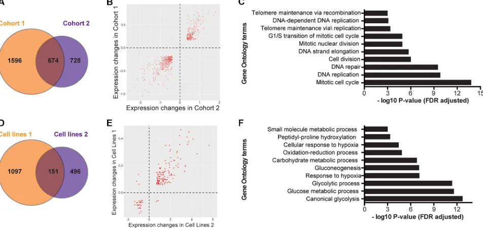 Figure 1: Differentially expressed gene sets show commonalities in both patient and cell line cohorts
