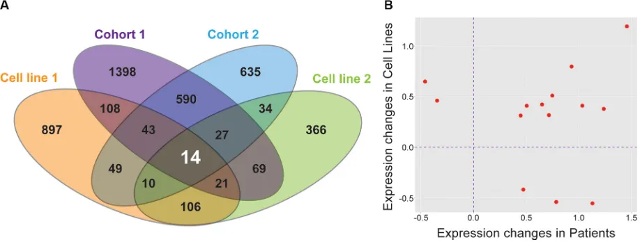 Figure 2: Nine genes are differentially expressed in all datasets and are significant on multiple analyses