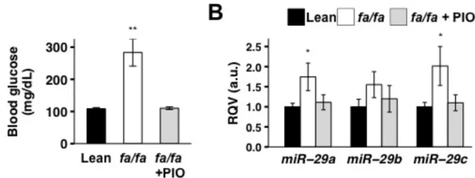 Figure 2.2. Hepatic miR-29 levels are elevated in a rat model of diabetes and corrected by  treatment with the insulin-sensitizing drug pioglitazone (PIO)