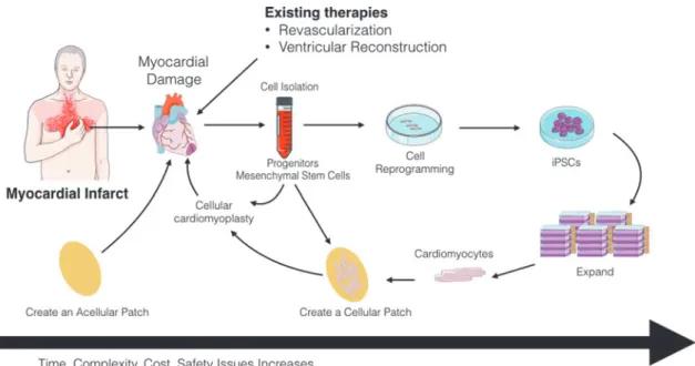 FIG. 3. Diagrammatic representation of tissue engineering strategies using cellular and acellular scaffolds