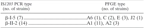 TABLE 2. IS1203 PCR types with different PFGE patterns