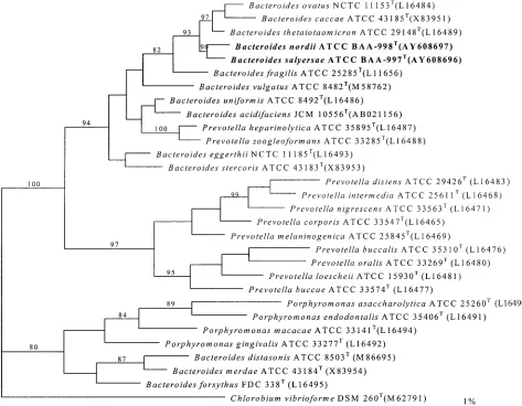 FIG. 1. Unrooted tree showing the phylogenetic position of B. nordiicluster. The tree, constructed by the maximum-parsimony method, was based on a comparison of approximately 1,400 nucleotides