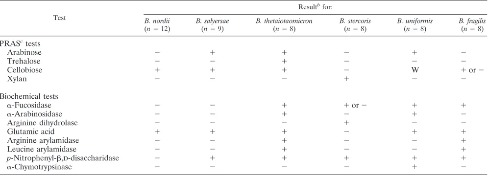 TABLE 2. Some properties by which B. nordii sp. nov. and B. salyersae sp. nov. can be differentiated from related Bacteroides spp.a