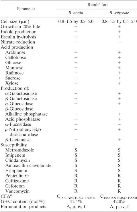 TABLE 3. Summary of characteristics of B. nordii sp. nov.and B. salyersae sp. nov.
