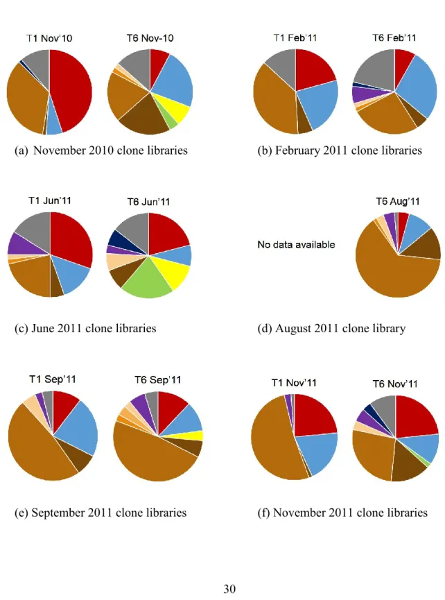 Figure 2. Clone libraries analyzed from November 2011 to November 2011. The pie  charts are organized in columns by sampling date, and in rows by sampling station