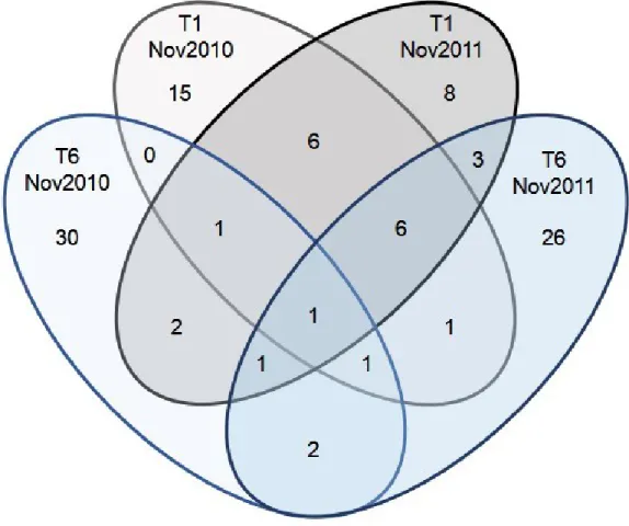Figure 8. Comparison of OTUs found in the T1 and T6, November 2010 and 2011 clone  libraries