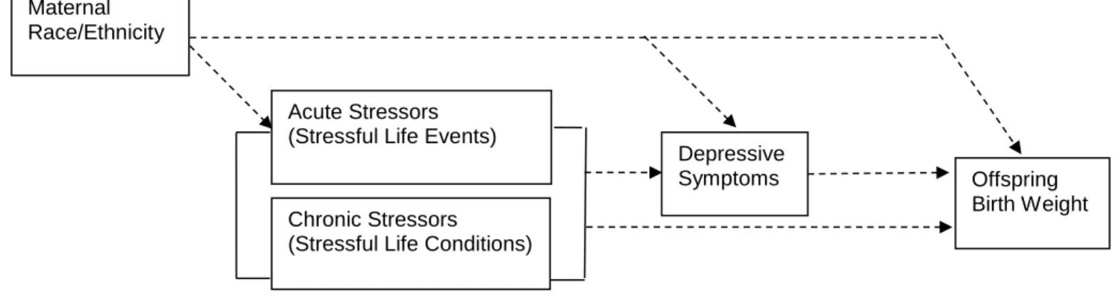 Figure 2.1.  Conceptual Model Depicting Hypothesized Relationships among Maternal Race/Ethnicity, Preconception  Stress, Depression, and Offspring Birth Weight, National Longitudinal Study of Adolescent Health, 1994-2008