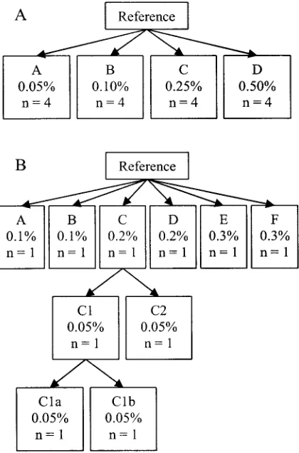FIG. 1. Relationships of the isolates in the two populations. Theoutbreak population (A) consisted of the reference isolate plus an