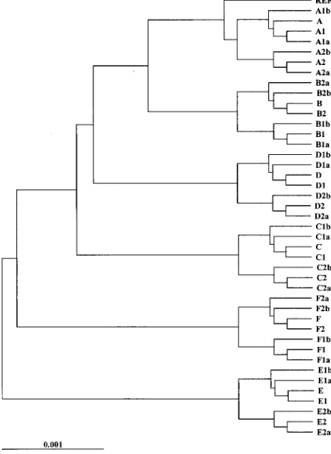TABLE 2. Number of pairwise comparisons that fell within each ofthe band difference categories as set by the PFGE guidelinesa